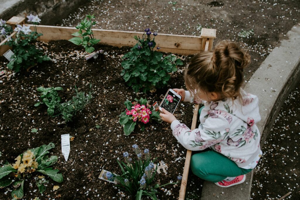 Why you need gardens for your health and wellness