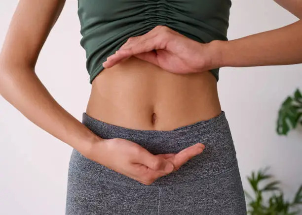 Gut Health and Belly Fat: The Bottom Line