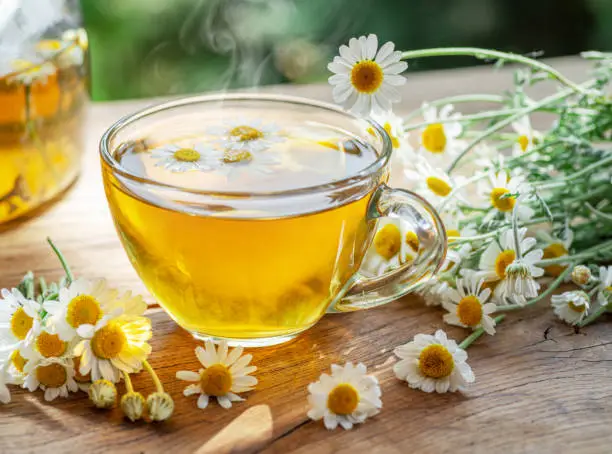 Chamomile