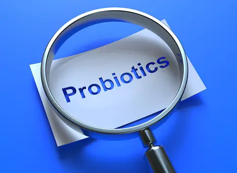 Prebiotics: what are they?